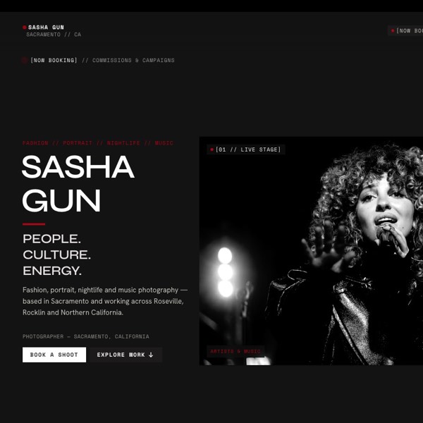 Sasha Gun Photography — home page of the client site